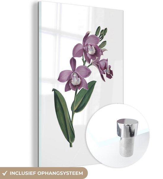 MuchoWow® Peinture sur verre - Fleurs - Orchidée - Violet - 100x150 cm - Peintures sur verre acrylique - Photo sur Glas