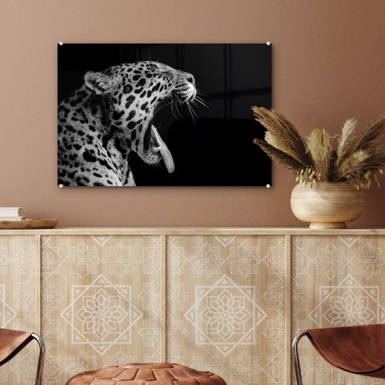 Peinture sur verre - Jaguar - Animal - Zwart - Wit - 60x40 cm - Peintures Plexiglas