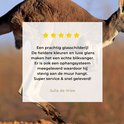 Product afbeelding  9
