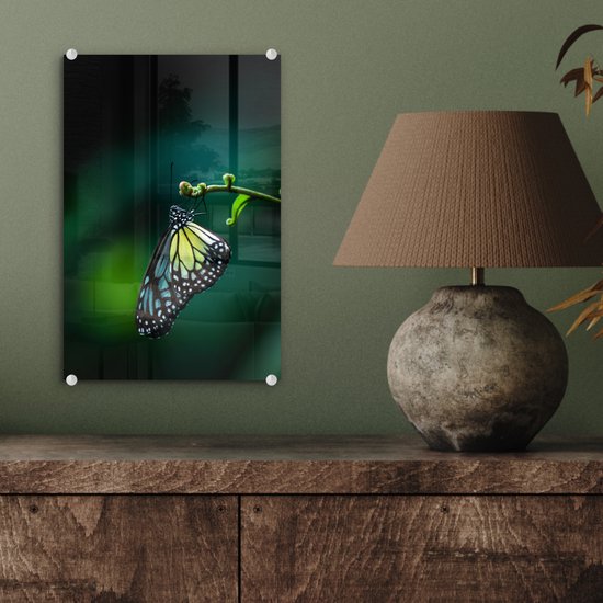 Peinture sur Verre - Papillon sur une Branche Fine - 20x30 cm - Peintures sur Verre Peintures - Photo sur Glas
