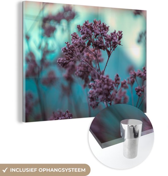 La verveine en fleur Plexiglas 80x60 cm - Tirage photo sur Glas (décoration murale en plexiglas)