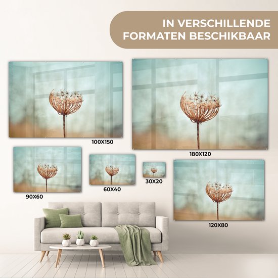 ® Glasschilderij 90x60 cm - Schilderij acrylglas - Verenigd Koninkrijk - Paardenbloem - Zaadjes - Foto op glas - Muurdecoratie woonkamer - Wanddecoratie slaapkamer - Schilderijen
