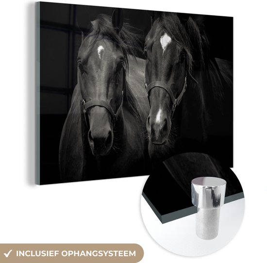 MuchoWow® Glasschilderij 150x100 cm - Schilderij acrylglas - Paarden - Dieren - Zwart - Foto op glas - Schilderijen