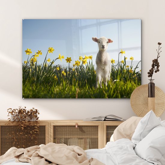Agneau parmi les fleurs jaunes Plexiglas 120x80 cm - Tirage photo sur Glas (décoration murale plexiglas)