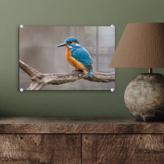 ® Glasschilderij 30x20 cm - Schilderij acrylglas - IJsvogel - Takken - Portret - Foto op glas - Muurdecoratie woonkamer - Wanddecoratie slaapkamer - Schilderijen