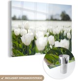 MuchoWow® Glasschilderij 150x100 cm - Schilderij acrylglas - Tulpenveld met witte tulpen - Foto op glas - Schilderijen