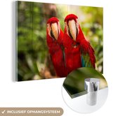 MuchoWow® Glasschilderij 30x20 cm - Schilderij acrylglas - Papegaaien - Vogels - Jungle - Foto op glas - Schilderijen