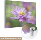 MuchoWow® Glasschilderij 90x60 cm - Schilderij glas - Roze anemoon - Foto op acrylglas - Schilderijen