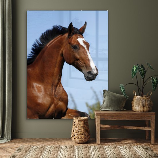 ® Glasschilderij 120x160 cm - Schilderij acrylglas - Paard - Natuur - Bruin - Foto op glas - Muurdecoratie woonkamer - Wanddecoratie slaapkamer - Schilderijen
