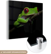MuchoWow® Glasschilderij 50x50 cm - Schilderij acrylglas - Roodoogmakikikker op zwarte achtergrond - Foto op glas - Schilderijen