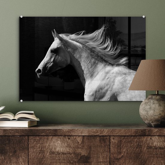 MuchoWow® Peinture sur verre 60x40 cm - Peinture acrylique sur verre - Paarden - Animaux - Portrait - Photo sur verre - Peintures