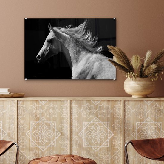 MuchoWow® Peinture sur Verre - Paarden - Animaux - Portrait - 60x40 cm - Peintures sur Verre Acrylique - Photo sur Glas