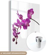 MuchoWow® Glasschilderij 90x120 cm - Schilderij acrylglas - Orchidee tegen witte achtergrond - Foto op glas - Schilderijen