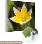MuchoWow® Glasschilderij 20x20 cm - Schilderij acrylglas - Bloem - Tuin - Geel - Foto op glas - Schilderijen