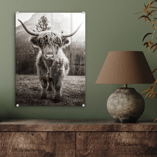 MuchoWow® Peinture sur verre 30x40 cm - Peinture acrylique sur verre - Highlander écossais - Zwart - Wit - Animaux - Photo sur verre - Peintures