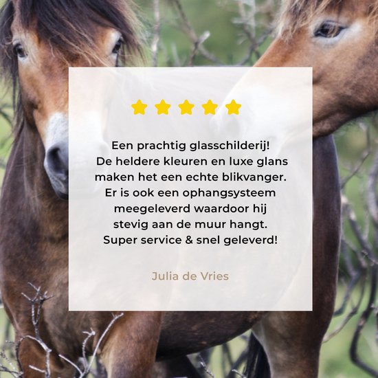 ® Glasschilderij 30x40 cm - Schilderij acrylglas - Paarden in het Nationaal park Exmoor in Engeland - Foto op glas - Muurdecoratie woonkamer - Wanddecoratie slaapkamer - Schilderijen