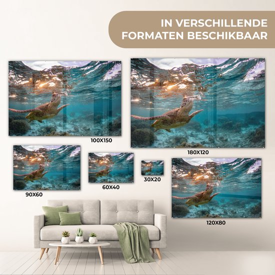 Peinture sur Verre - Mer - Tortue - Couleurs - 180x120 cm - Peintures sur Verre Peintures - Photo sur Glas