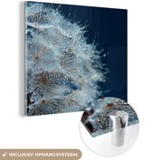 MuchoWow® Glasschilderij 50x50 cm - Schilderij acrylglas - Bloemen - Lente - Zaadjes - Foto op glas - Schilderijen