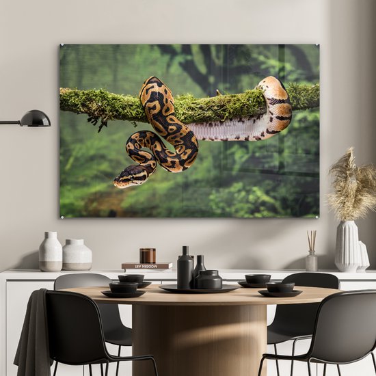 Peinture sur verre MuchoWow® 120x80 cm - Peinture acrylique sur verre - Un serpent dans un arbre - Photo sur verre - Peintures