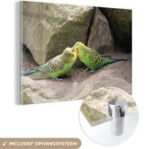 Deux perruches sont gentilles l'une avec l'autre quand les rochers s'empilent Plexiglas 180x120 cm - Tirage photo sur Verre (Décoration murale plexiglas) XXL / Grand format!