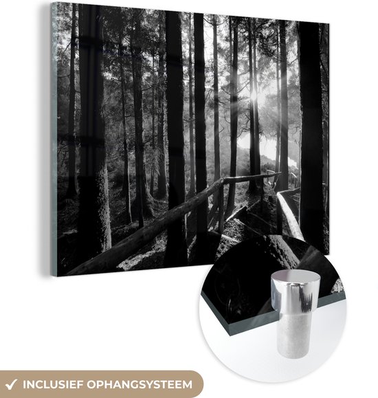 MuchoWow® Glasschilderij 40x30 cm - Schilderij acrylglas - De zon schijnt door een bos van torenhoge bomen op de Azoren - zwart wit - Foto op glas - Schilderijen