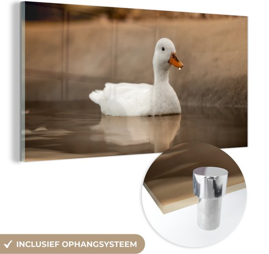 Glasschilderij - Foto op glas - Eend - Vogel - Water - Wit - Woonkamer - 160x80 cm - Acrylglas - Glasschilderij dieren - Muurdecoratie glas - Schilderij glas - Glasschilderij vogels