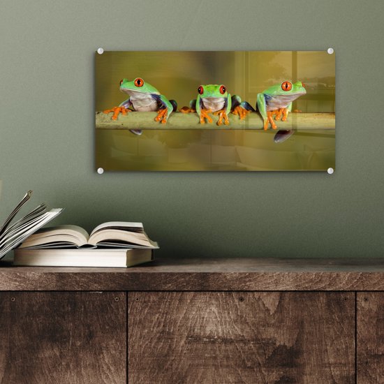 MuchoWow® Peinture sur Verre - Grenouilles - Branche - 40x20 cm - Peintures Acrylique - Photo sur Glas