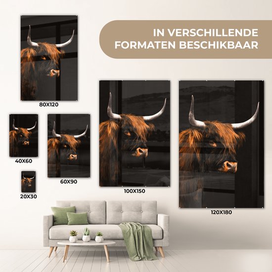 MuchoWow® Peinture sur verre 100x150 cm - Peinture sur verre acrylique - Highlander écossais - Zwart - Fourrure - Photo sur verre - Peintures