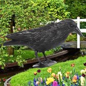 Decopatent® XL épouvantail corbeau - plastique plastique - répulsif d'oiseaux - répulsif de pigeon - debout ou suspendu - effaroucheur d' Vogel - Zwart
