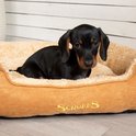 Bruine teckel puppy ligt in een ronde, karamelbruine hondenmand met fleece voering. Scruffs logo.