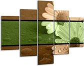 Glasschilderij Bloem | Groen, Bruin | 100x70cm 5Luik | Foto print op Glas |  F004476