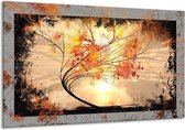 Glasschilderij Bomen - Oranje, Grijs, Zwart - 120x70cm 1Luik - Foto Op Glas - Geen Acrylglas Schilderij - GroepArt 6000+ Glasschilderijen Art Collectie - Wanddecoratie - Woonkamer - Slaapkamer