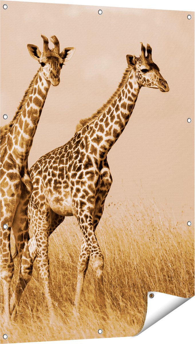 Gards Tuinposter Twee Giraffes in het Veld - 80x120 cm - Tuindoek - Tuindecoratie - Wanddecoratie buiten - Tuinschilderij Multikleur