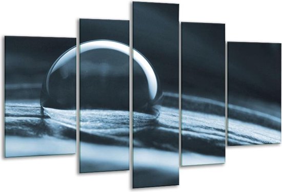 Glasschilderij Macro - Blauw - 170x100cm 5Luik - Foto Op Glas - Geen Acrylglas Schilderij - 6000+ Glasschilderijen Collectie - Wanddecoratie