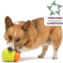 Corgi met een groen-oranje speelgoedbal met 'Sterkliniek Dierenartsen Aanbevolen' logo.