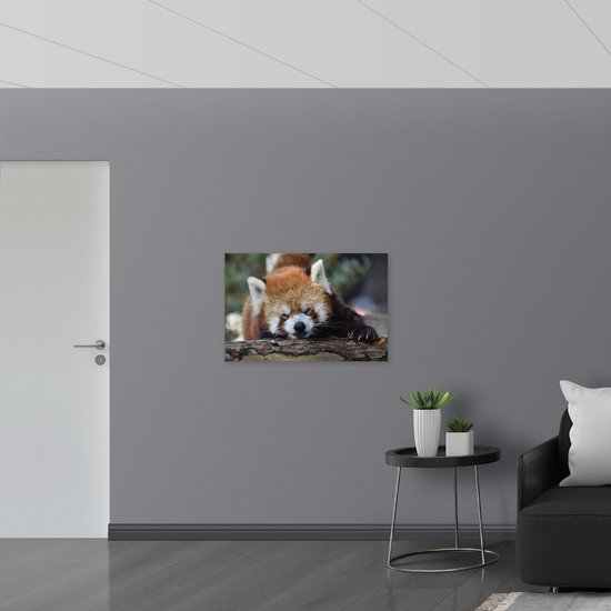 Acrylglas - Liggende Rode Panda met Grote Klauwen op Boomstronk - 90x60 cm Foto op Acrylglas (Met Ophangsysteem)