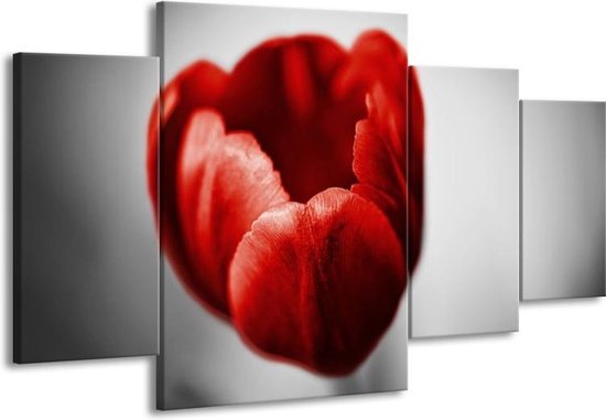 Peinture sur toile Tulipe | Rouge, blanc, gris | 160x90cm 4 Liège