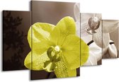 GroepArt - Schilderij -  Orchidee - Wit, Groen, Grijs - 160x90cm 4Luik - Schilderij Op Canvas - Foto Op Canvas