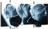 GroepArt - Schilderij - Bloem - Blauw, Wit - 120x65cm 5Luik - Foto Op Canvas - GroepArt 6000+ Schilderijen 0p Canvas Art Collectie - Wanddecoratie