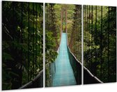 Glasschilderij Natuur, Brug - Groen, Blauw, Zwart - 120x80cm 3Luik - Foto Op Glas - Geen Acrylglas Schilderij - GroepArt 6000+ Glas Art Collectie - Maatwerk Mogelijk
