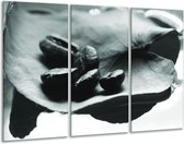 Glasschilderij Koffiebonen, Keuken - Grijs, Groen - 120x80cm 3Luik - Foto Op Glas - Geen Acrylglas Schilderij - GroepArt 6000+ Glas Art Collectie - Maatwerk Mogelijk