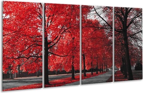 Glasschilderij Bomen | Rood, Grijs, Wit |