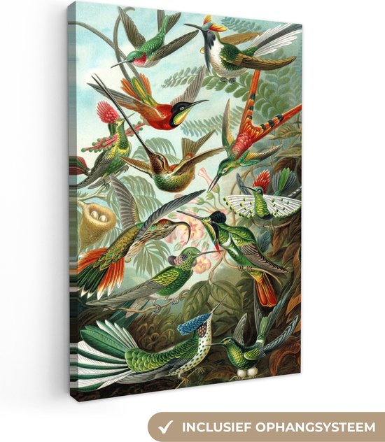 Canvas schilderij 40x60 cm - Wanddecoratie Kolibries - Vintage - Ernst Haeckel - Vogel - Kunst - Natuur - Muurdecoratie accessoires - Keuken decoratie muur - Schilderijen op canvas