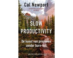 Omslag van Slow productivity