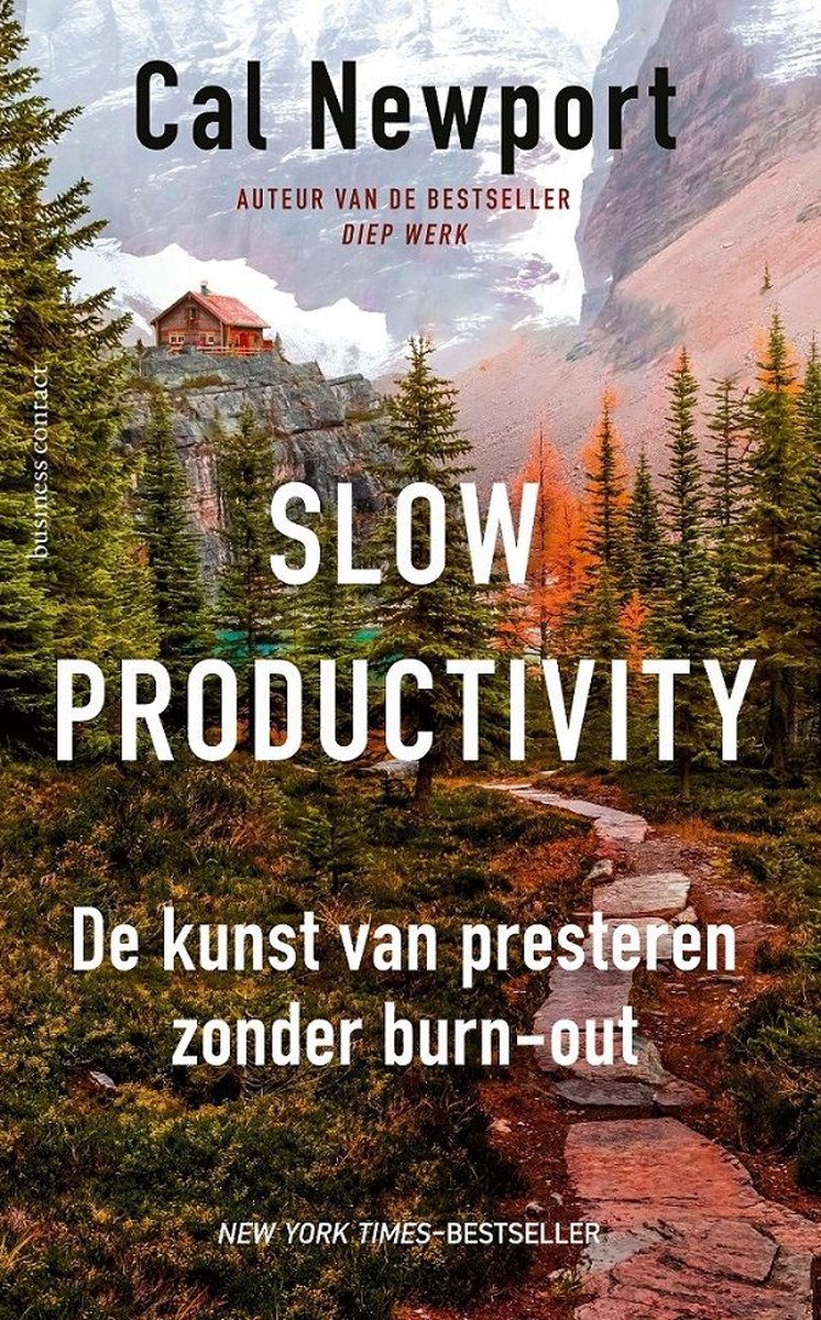 Omslag van Slow productivity