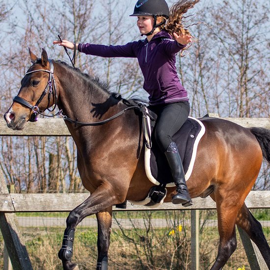 F.R.A. Bareback Pad Dardo Basic Bordeaux