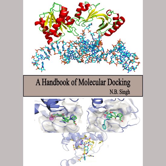 Handbook of Molecular Docking, A
