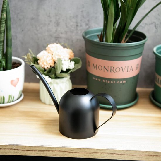 pasamer 1500 ml roestvrij staal gieter geborsteld tuin planten indoor outdoor producten zilver