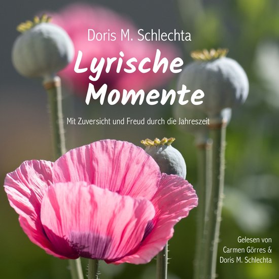 Lyrische Momente - cover