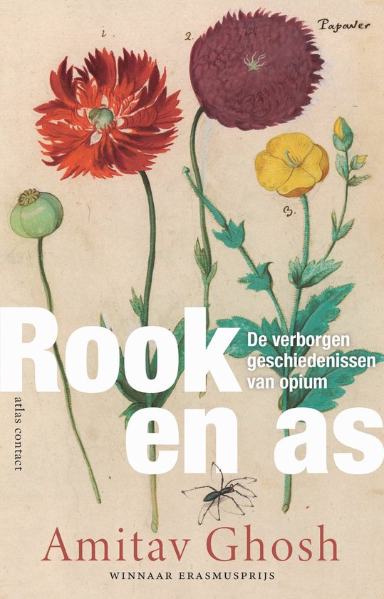 Rook en as